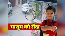 Jaipur News: घर के बाहर खेल रहे साढ़े 4 साल के मासूम को रौंदते हुए भागा आरोपी चालक