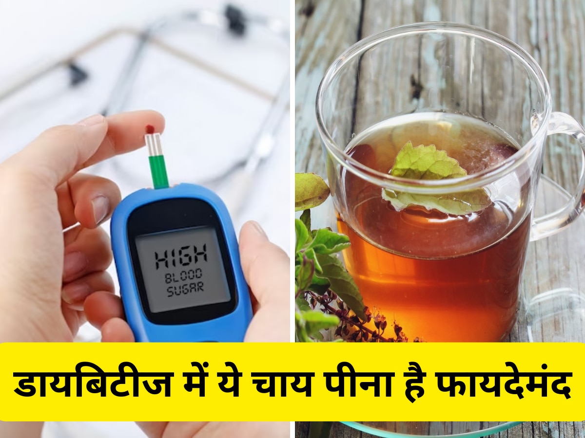 Tea For diabetes: डायबिटीज मरीजों के लिए सेहतमंद हैं ये 5 चाय, Blood Sugar कंट्रोल रखने में मिलती है मदद