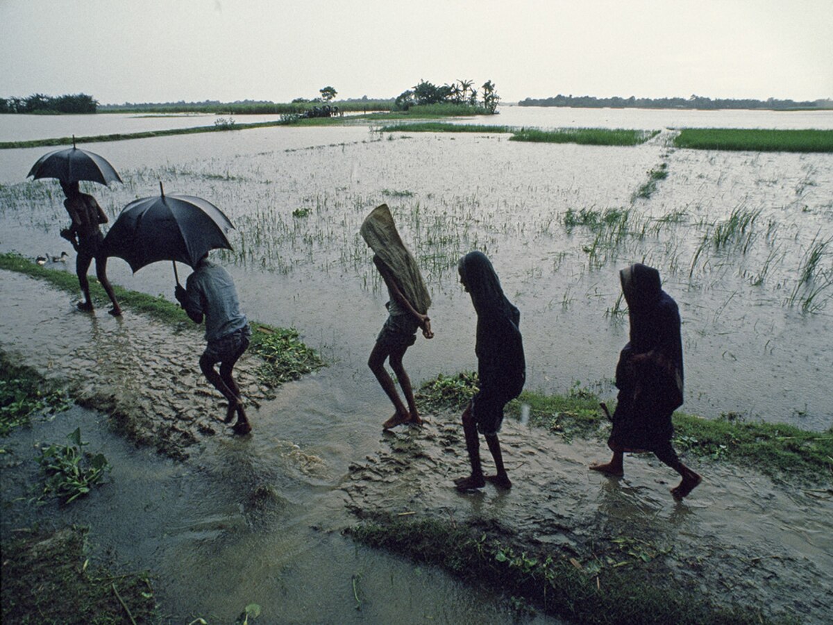 Weather Update: ଏବର୍ଷ ସ୍ୱାଭାବିକ ବର୍ଷା: ସ୍କାଏମେଟ