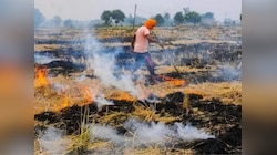 Fatehabad News: खेतों में फसल के अवशेष जलाने पर लगी रोक, धारा 144 लागू
