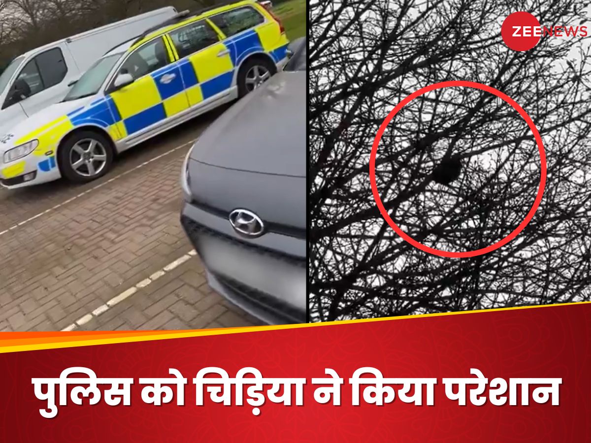 Birds trouble the police sounds like siren got confuse चिड़िया ने