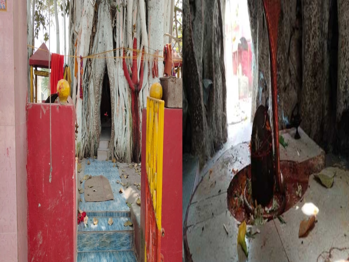 बरगद और पीपल के पेड़ में समाया शिव मंदिर