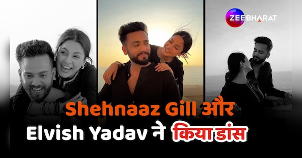 Elvish Yadav Shehnaz Gill dance video viral | Elvish Yadav ने शहनाज गिल ...