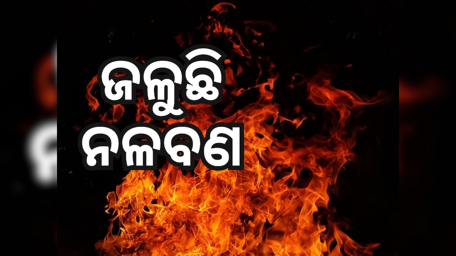 ଜଳୁଛି ଚିଲିକା ନଳବଣ, କିଏ ଲଗାଇଲା ନିଆଁ ?