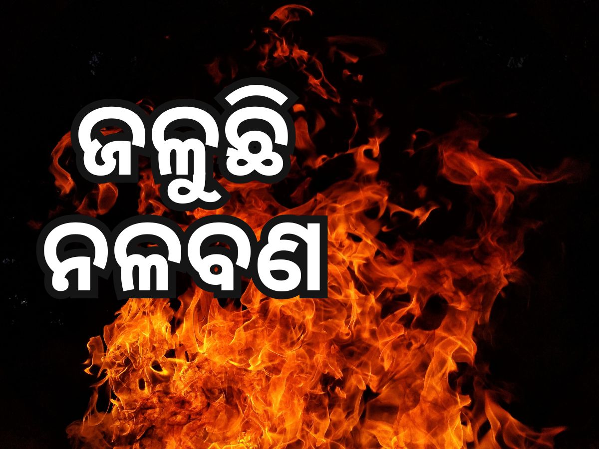 ଜଳୁଛି ଚିଲିକା ନଳବଣ, କିଏ ଲଗାଇଲା ନିଆଁ ? ଜଳୁଛି ଚିଲିକା ନଳବଣ, କିଏ ଲଗାଇଲା ନିଆଁ ?