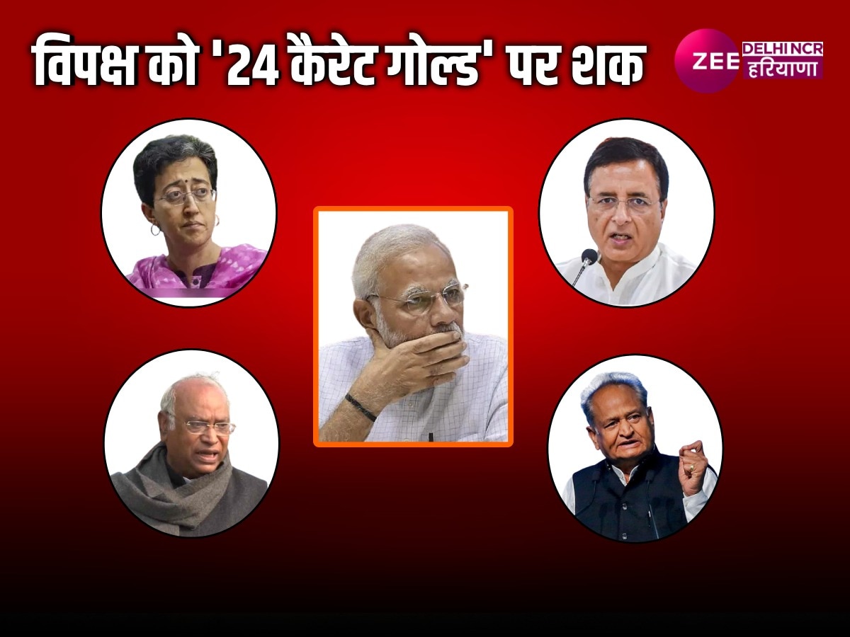 BJP Manifesto: 25 करोड़ लोग गरीबी से बाहर और 80 करोड़ को मुफ्त राशन तो देश में कुल कितने गरीब? 