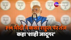 PM Modi In Hoshangabad: Rahul Gandhi के हटाने के बयान पर PM मोदी ने कसा तंज