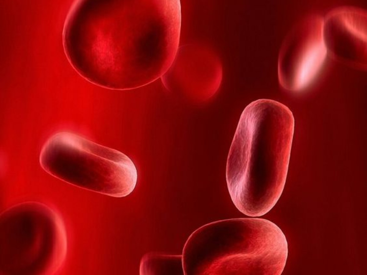 Benefits of eating dates on an empty stomach खाली पेट छुहारे खाने से खून की कमी हो सकती है दूर