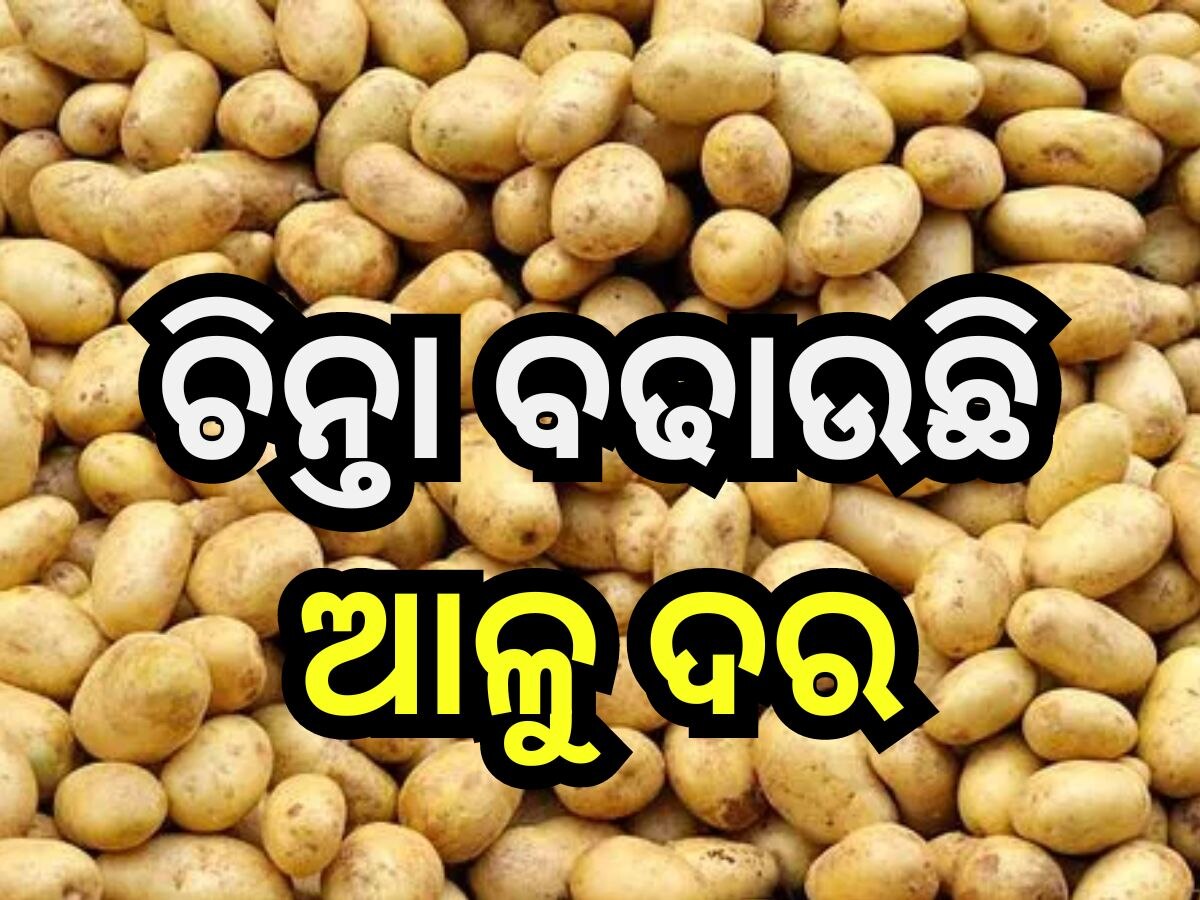 Potato Price Hike: ସପ୍ତାହକରେ ୮ ଟଙ୍କା ବଢିଲା ଆଳୁ ଦର, ଚିନ୍ତାରେ ଗ୍ରାହକ