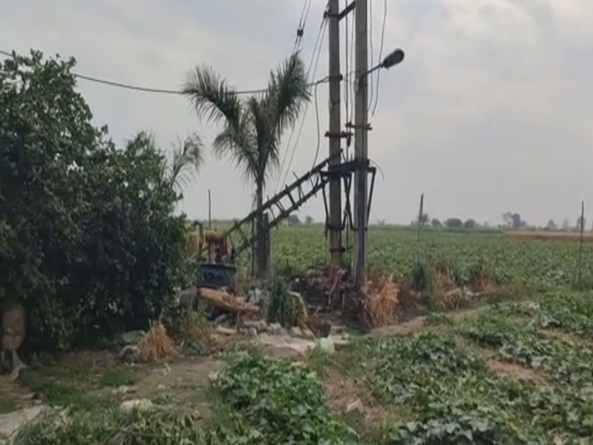Delhi Crime: किसान परिवार को बंधक बनाया फिर चलती लाइन में ट्रांस्फॉर्मर चोरी करने लगे चोर