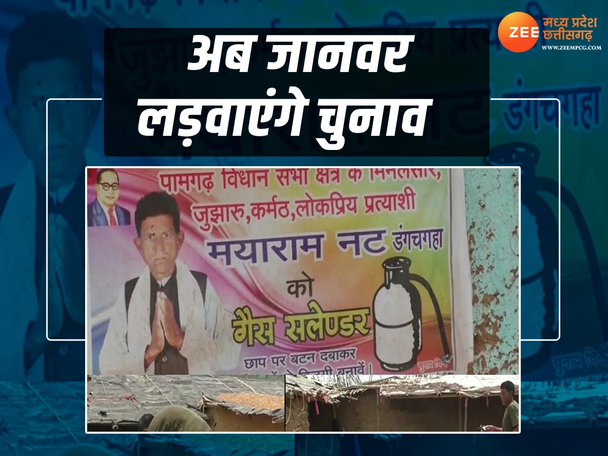 Lok Sabha chunav Janjgir Champa candidate