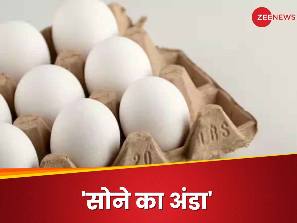 Jammu and Kashmir: क्या था इस अंडे में खास? जो दो लाख रुपये से भी ज्यादा में हुआ नीलाम