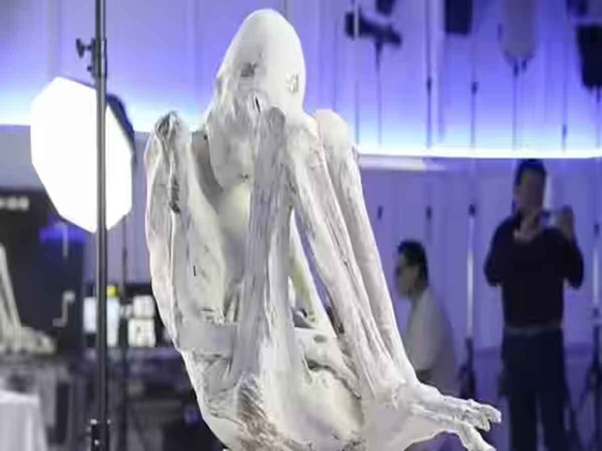 Alien Mummy: यूफोलॉजिस्ट की प्रेस कॉन्फ्रेंस में हंगामा!  'गर्भवती' एलियन की ‘ममी’ को जब्त करने पहुंचे सरकारी अधिकारी, जानें फिर क्या हुआ?