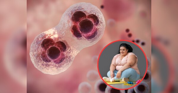 Obesity Linked with Cancer: कैंसर का खतरा बढ़ा सकता है मोटापा, कम कर ले वजन वरना पछताएंगे आप!