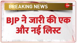 Lok Sabha Election 2024: नारायण राणे लड़ेंगे लोकसभा चुनाव 
