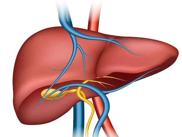 दारू-शराब से ज्यादा नुकसानदेह है रोज़ खाये जाने वाला तेल और चीनी; AIIMS के रिसर्च में खुलासा!
