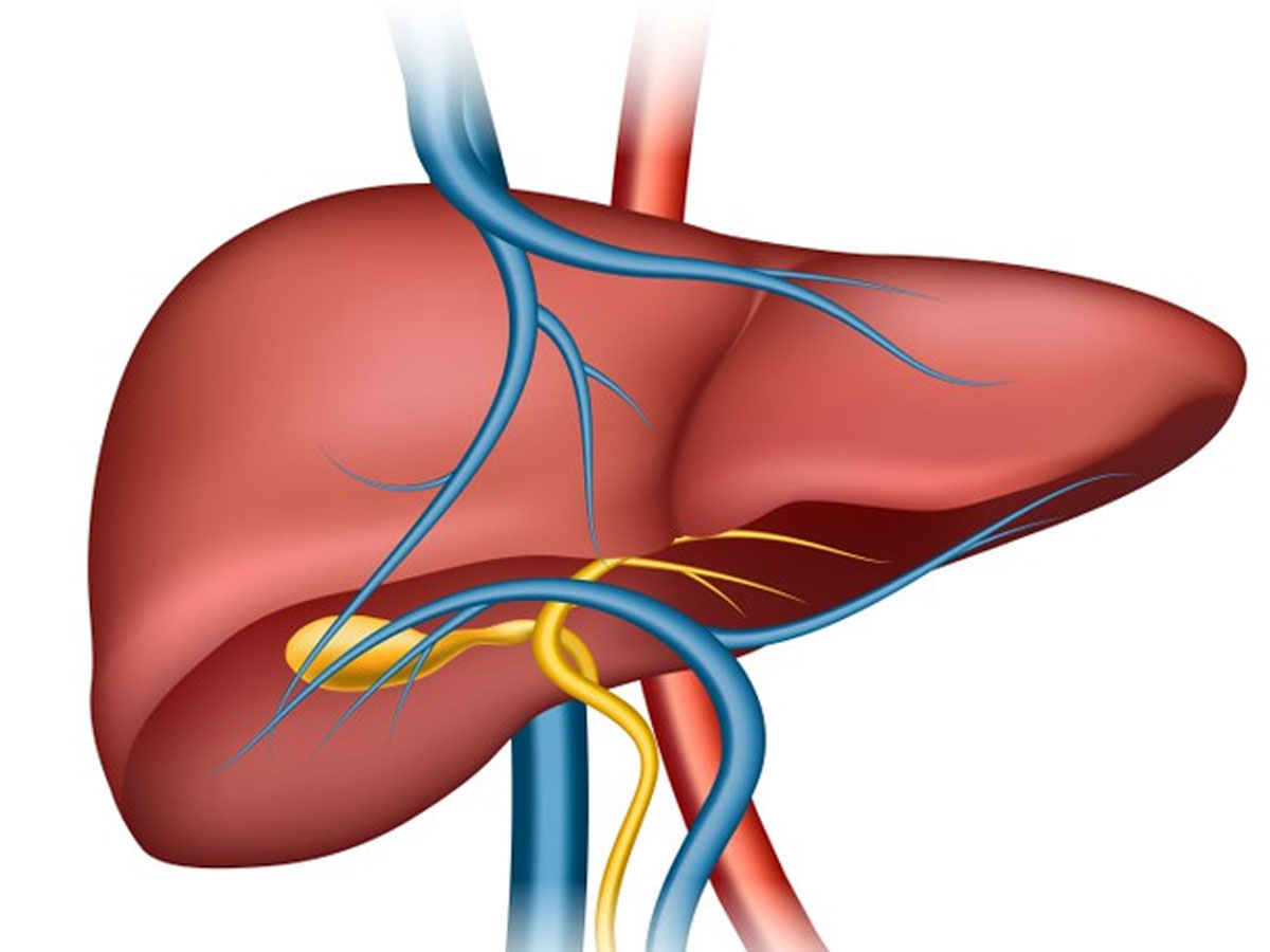 दारू-शराब से ज्यादा नुकसानदेह है रोज़ खाये जाने वाला तेल और चीनी; AIIMS के रिसर्च में खुलासा! दारू-शराब से ज्यादा नुकसानदेह है रोज़ खाये जाने वाला तेल और चीनी; AIIMS के रिसर्च में खुलासा!