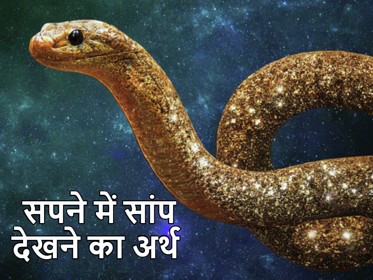 Snake in Dream Meaning: सपने में दिखा सांप? जानें खुलने वाली है किस्मत या आने वाला है कोई संकट?