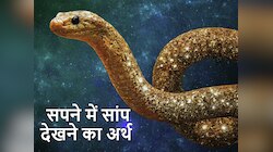 सपने में दिखा सांप? जानें खुलने वाली है किस्मत या आने वाला है कोई संकट?