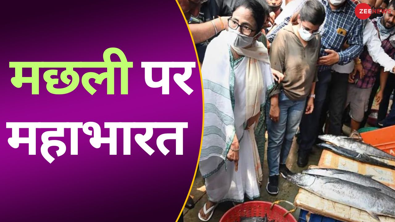 mahabharata on fish mamata banerjee targeted bjp loksabha 2024 | मछली ...