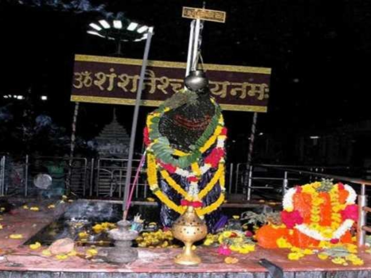 Shani Dev: शनिदेव को तेल क्यों चढ़ाया जाता है? जानिए पीछे की रोचक कहानी और धार्मिक महत्व