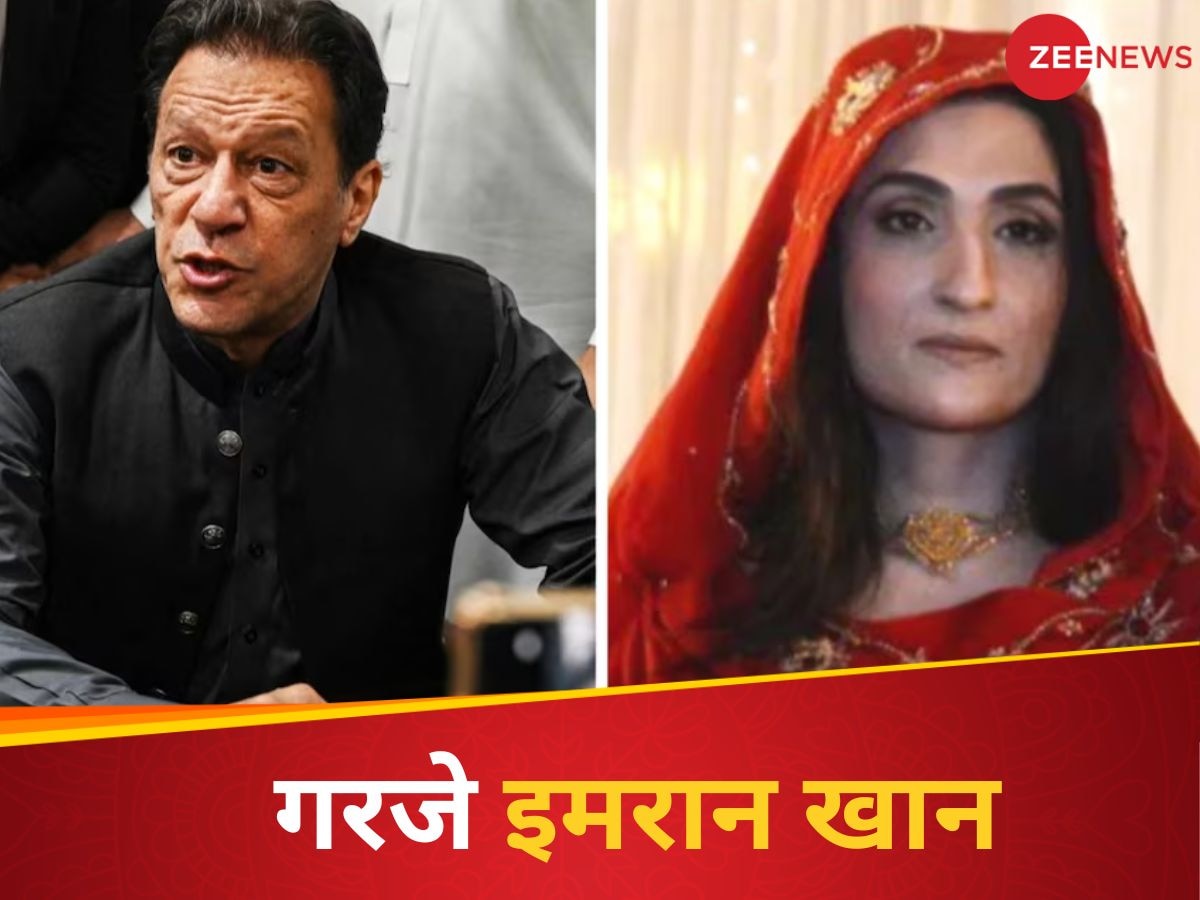 क्या इमरान खान की पत्नी बुशरा को जेल में टॉयलेट क्लीनर मिलाकर दिया गया खाना?