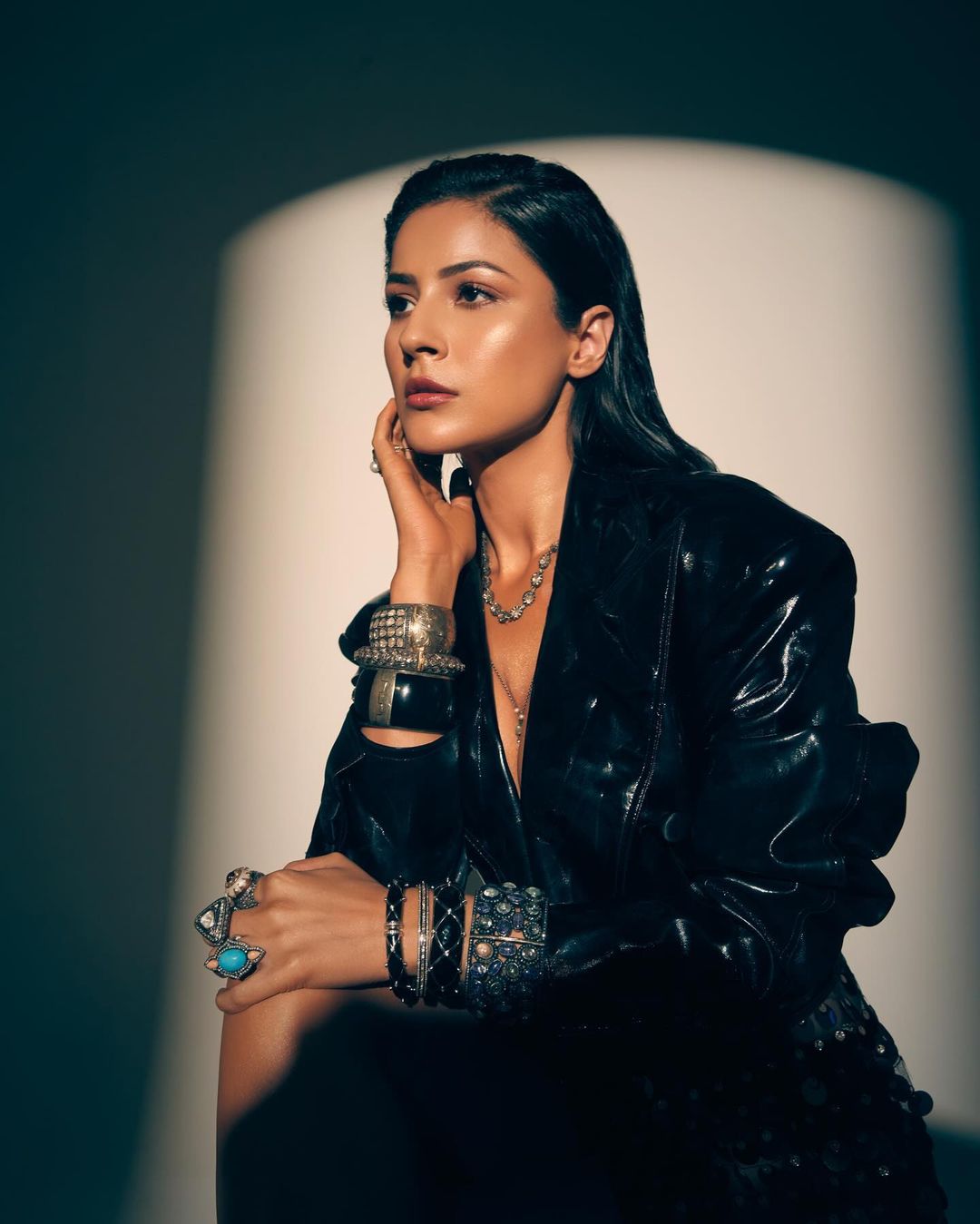 31 साल की हैं शहनाज