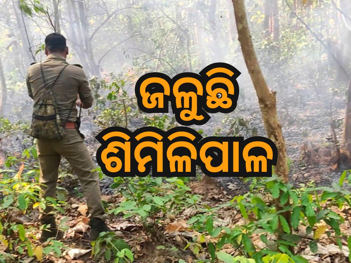 ଜଳୁଛି ଶିମିଳିପାଳ, ନିଆଁ ଲିଭାଉଛନ୍ତି ୨୫ ଜଣିଆ ଦମକଳ ଏବଂ ଓଡ୍ରାଫ ଟିମ୍ ଜଳୁଛି ଶିମିଳିପାଳ, ନିଆଁ ଲିଭାଉଛନ୍ତି ୨୫ ଜଣିଆ ଦମକଳ ଏବଂ ଓଡ୍ରାଫ ଟିମ୍