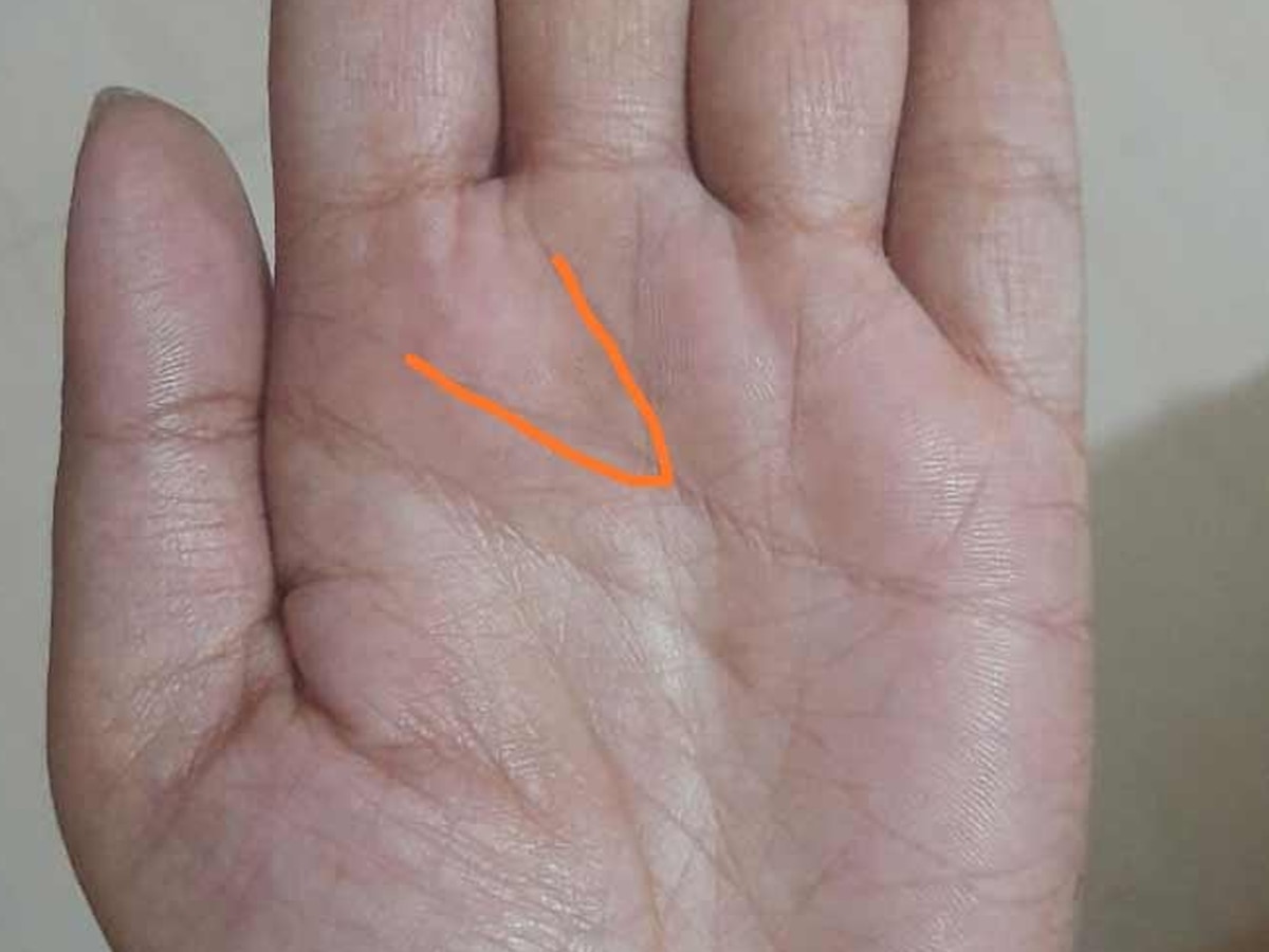 Palmistry: लकी लोगों के हाथ में होती है 'विष्‍णु रेखा', घोर गरीबी से निकालकर बनाती है करोड़पति