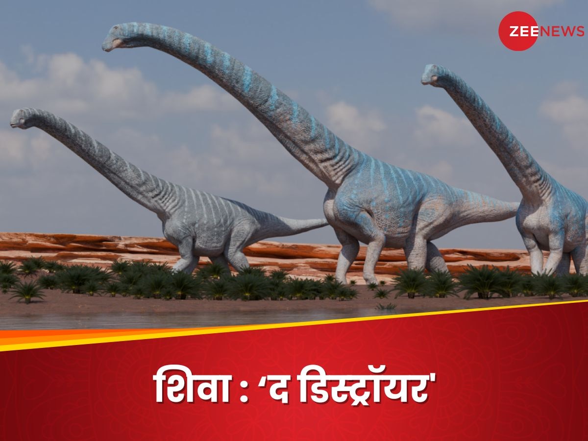 Shiva Dinosaur Discovery: 98 फुट लंबा, 74 टन वजन... 'शिव' की दहाड़ से कांपती थी धरती, वैज्ञानिकों ने खोजे सबूत