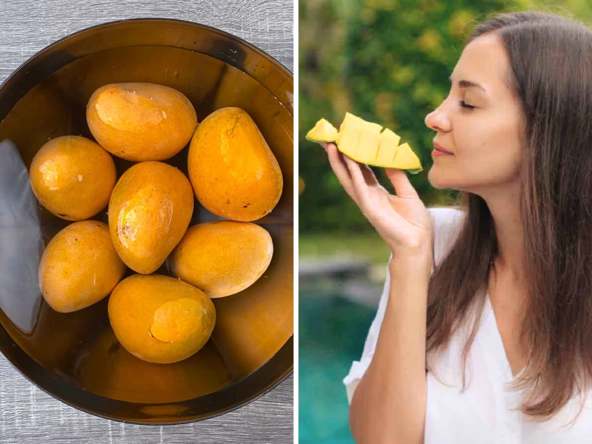 Mango Eating Tips: खाने से पहले आम को पानी में रखना क्यों जरूरी? आयुर्वेद एक्सपर्ट से जानें इसके जबरदस्त फायदे