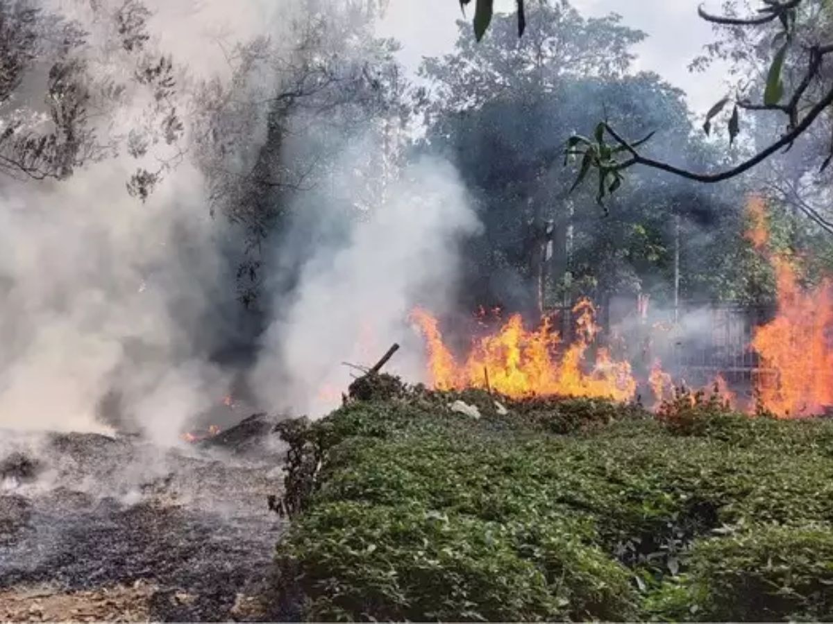 नोए़डा की हाईराइज सोसाइटी के इलाके में लगी आग, आसमान छूने लगी आग की लपटें