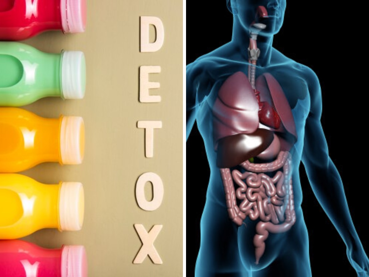 Body Detox Drink: शरीर के कोने-कोने का कचरा साफ कर देंगी ये 5 ड्रिंक्स, गर्मी में बॉडी को डिटॉक्स करने के लिए रोज करें सेवन