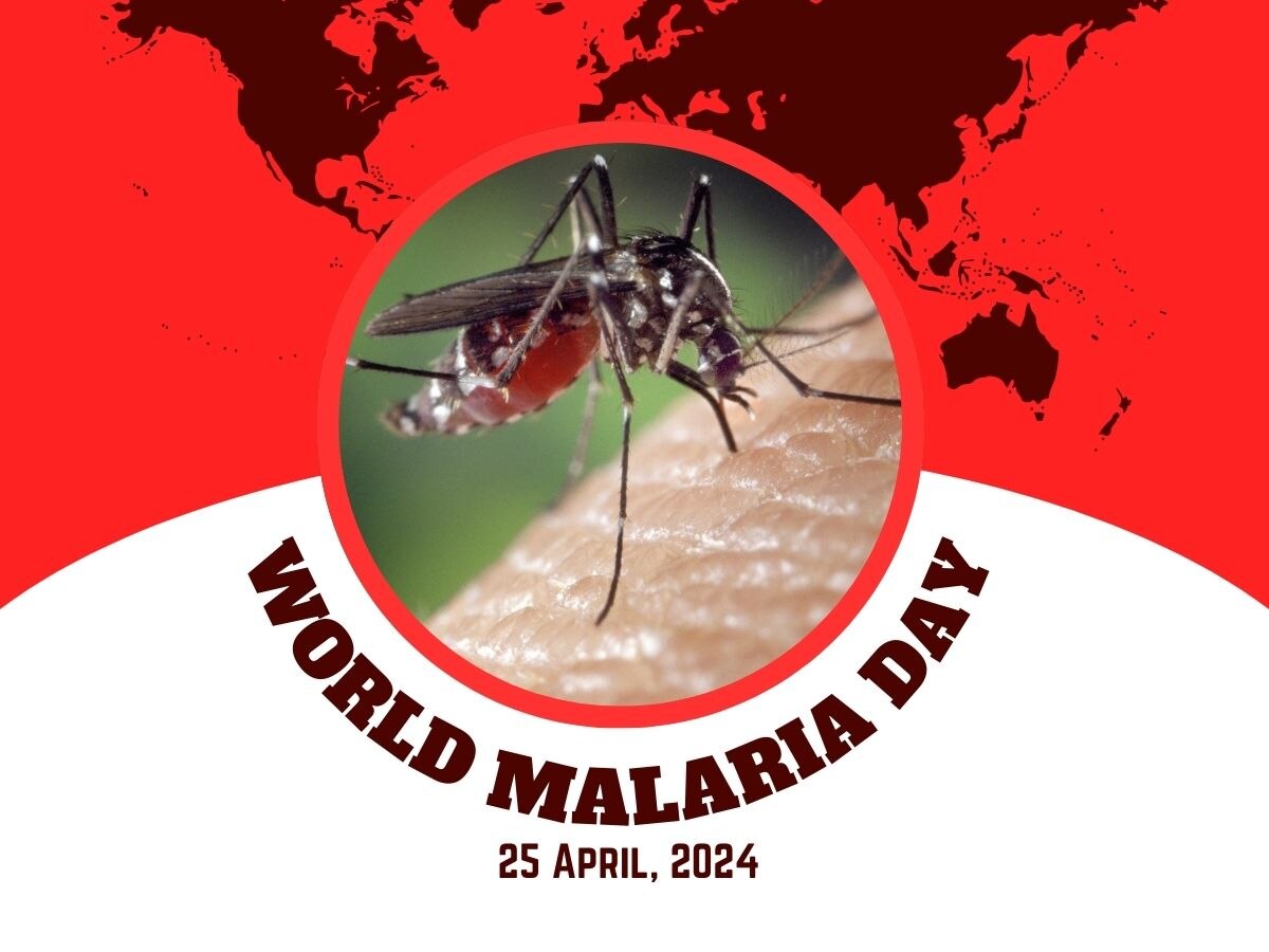 World Malaria Day: मलेरिया से खुद को और अपने परिवार को कैसे रखें सुरक्षित? जानें 6 आसान उपाय