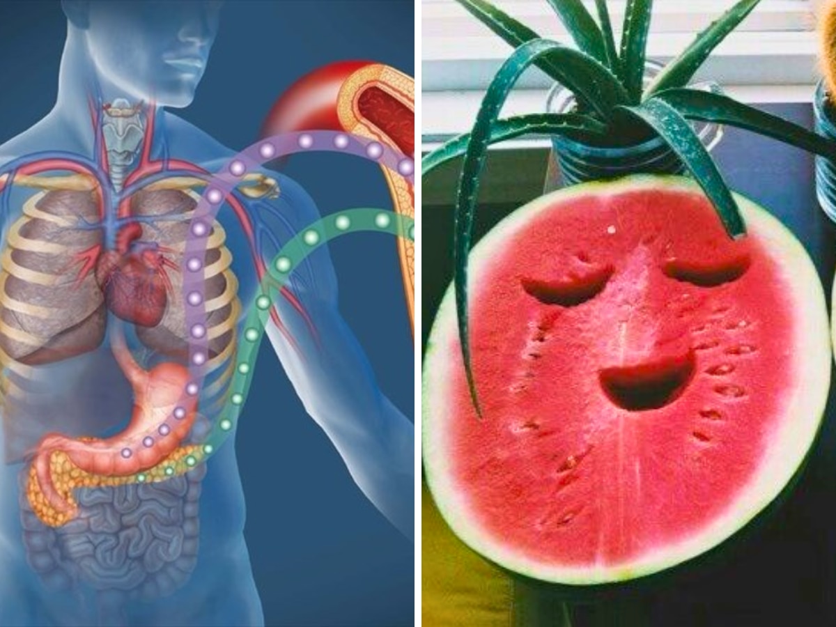 Watermelon For Diabetes: डायबिटीज में तरबूज खाना फायदेमंद या नुकसानदेह? खाने से पहले यहां जान लें कितना बढ़ सकता है शुगर लेवल