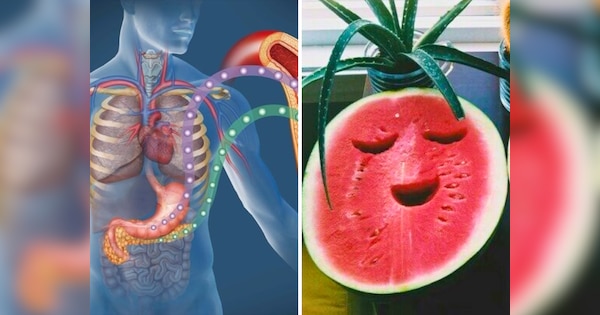 can-diabetic-patient-eat-watermelon-it-may-raise-up-blood-sugar-if-not