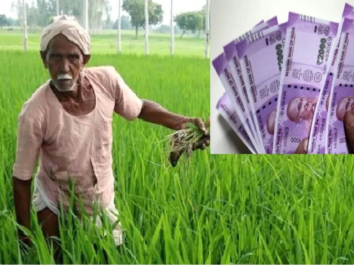 PM Kisan 17th installment: ये किसान तुरंत पूरा कर लें ये काम, आ रही है पीएम किसान की 17वीं किस्त!
