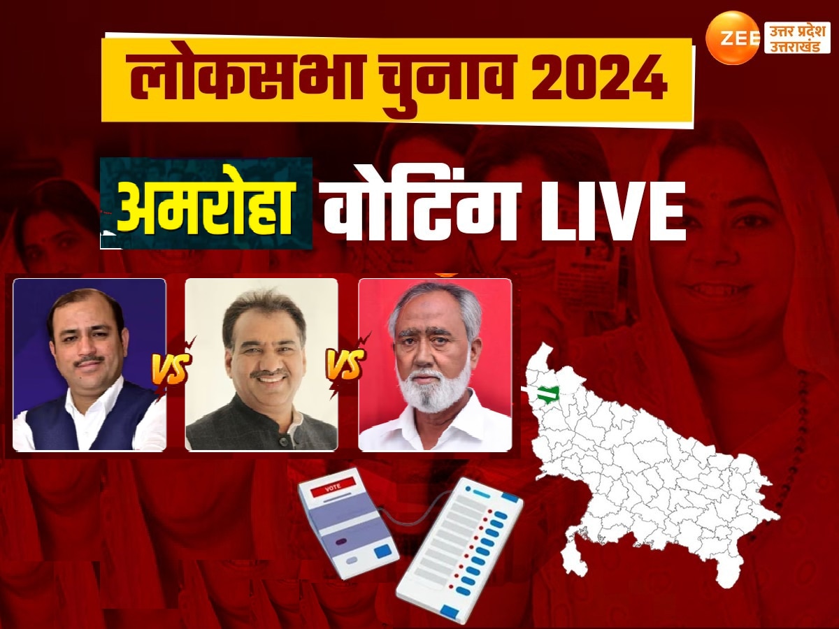 Amroha lok sabha election results 2024