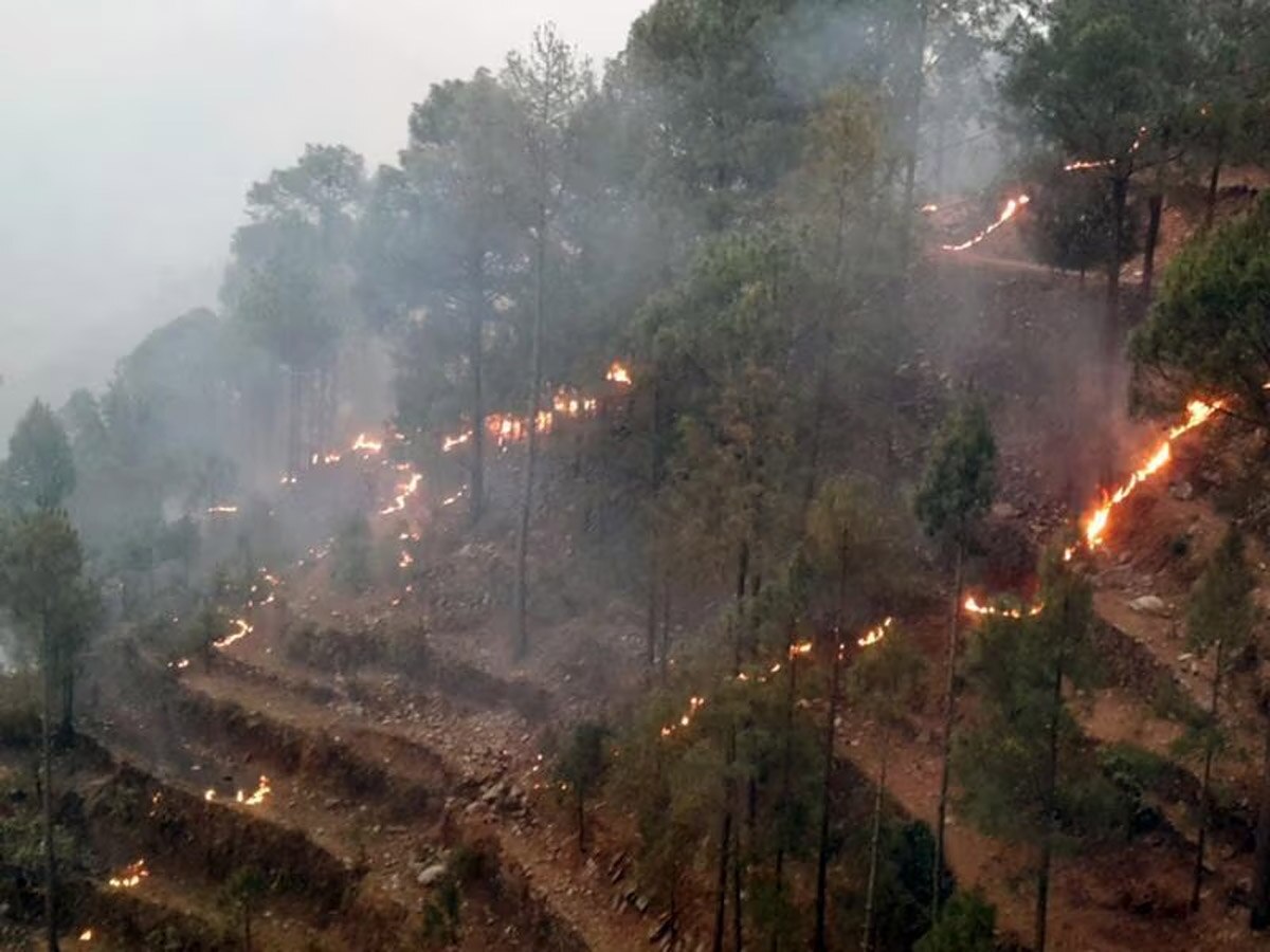 Nainital Forest Fire: प्रशासन क्या कर रहा है कार्रवाई? नैनिताल की आग कोर्ट कॉलोनी तक पहुंची