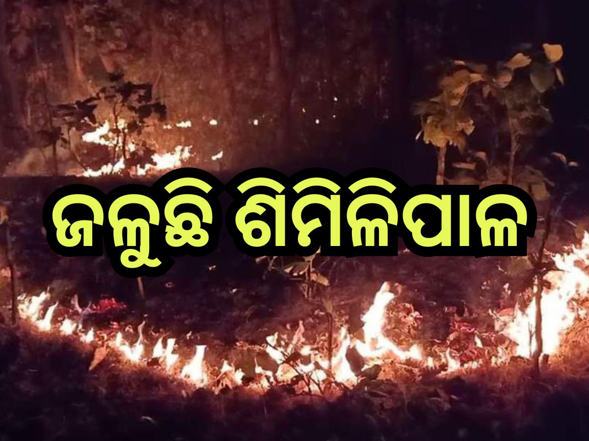 Odisha News: ଶିମିଳିପାଳରେ ଲାଗିଛି ନିଆଁ,ବିପଦରେ ବନ୍ୟଜନ୍ତୁ ଓ ମୂଲ୍ୟବାନ୍ ବୃକ୍ଷ Odisha News: ଶିମିଳିପାଳରେ ଲାଗିଛି ନିଆଁ,ବିପଦରେ ବନ୍ୟଜନ୍ତୁ ଓ ମୂଲ୍ୟବାନ୍ ବୃକ୍ଷ