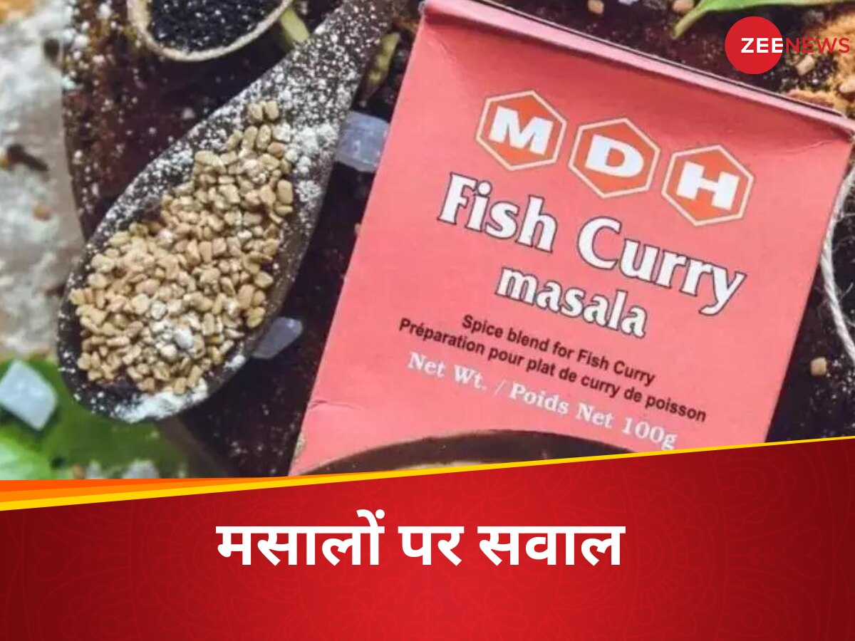 mdh masala 