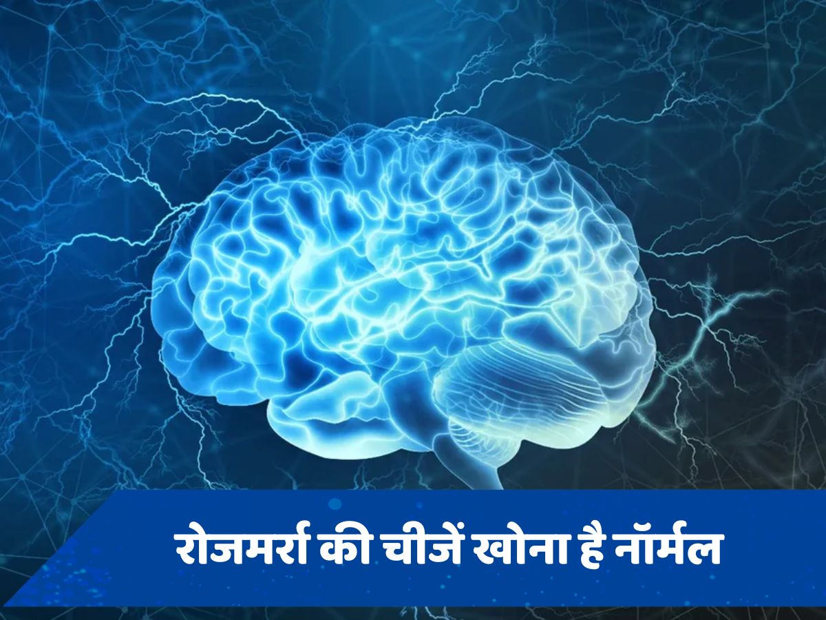 रोजाना की छोटी-छोटी बातें भूलना है नॉर्मल, खराब याददाश्त से नहीं है कोई मतलब- किताब का दावा