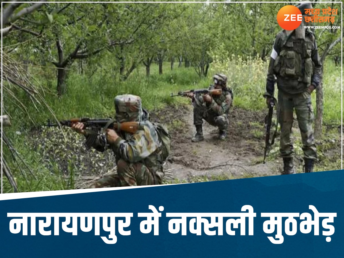 Chhattisgarh News Police Got Big Success Three Naxalites Killed ...