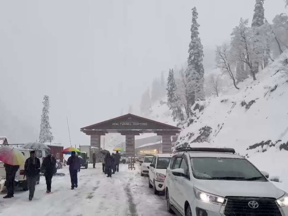 himachal snowfall tourists rescue