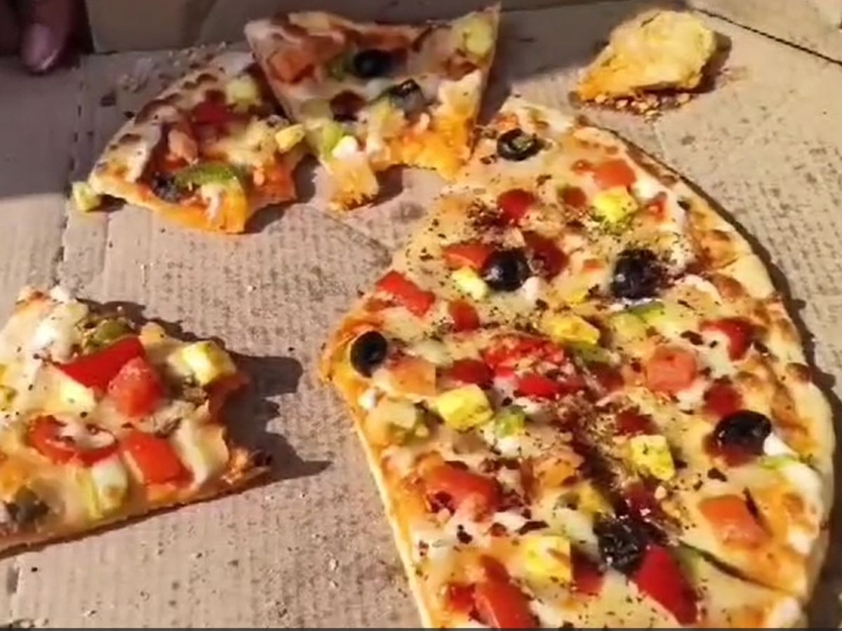 Machhiwara Pizza Cockroach: ਤੁਸੀਂ ਵੀ ਹੋ ਪੀਜ਼ੇ ਦੇ ਸ਼ੌਕੀਨ ਤਾਂ ਹੋ ਜਾਓ ...