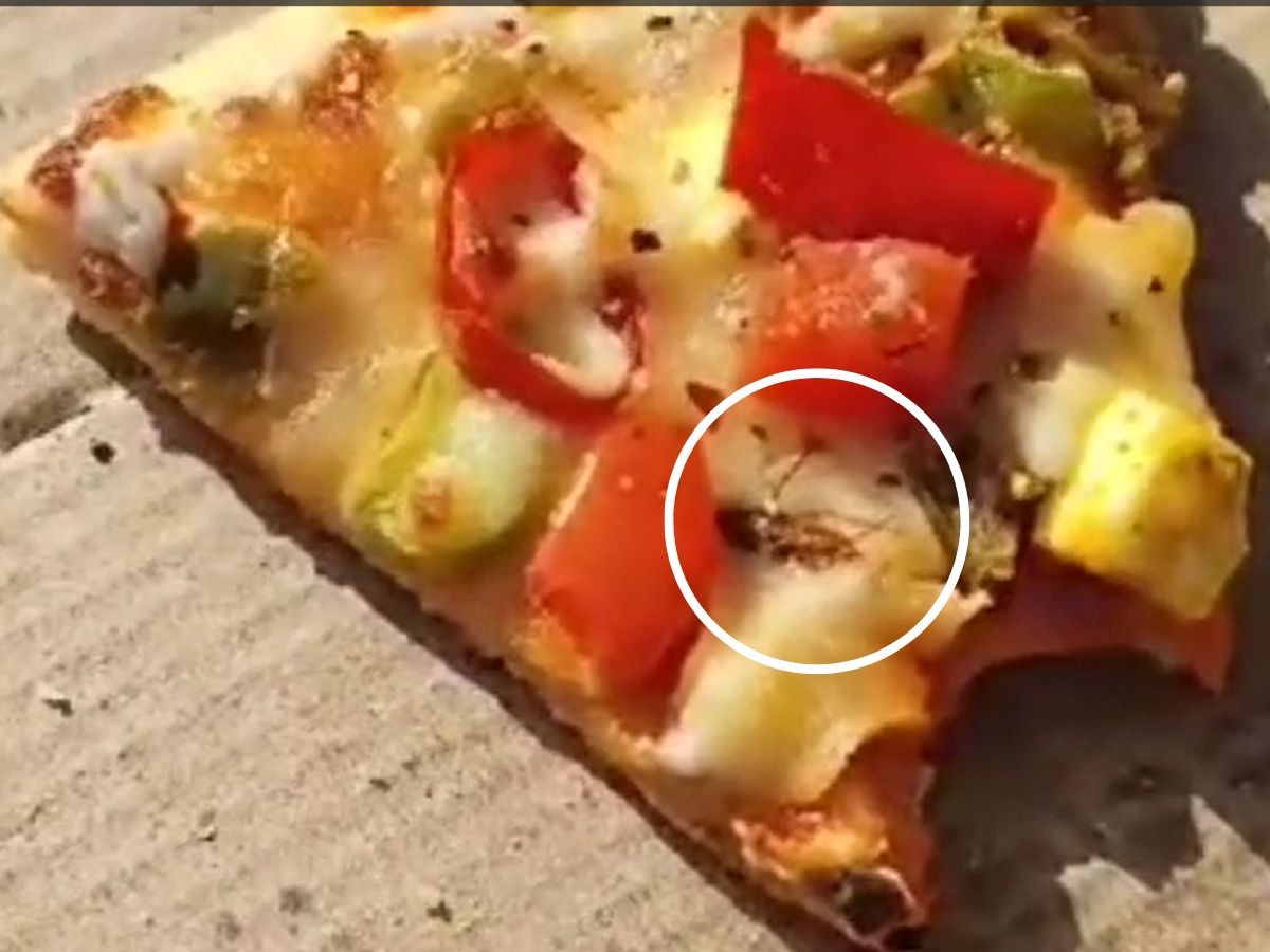 Machhiwara Pizza Cockroach: ਤੁਸੀਂ ਵੀ ਹੋ ਪੀਜ਼ੇ ਦੇ ਸ਼ੌਕੀਨ ਤਾਂ ਹੋ ਜਾਓ ...