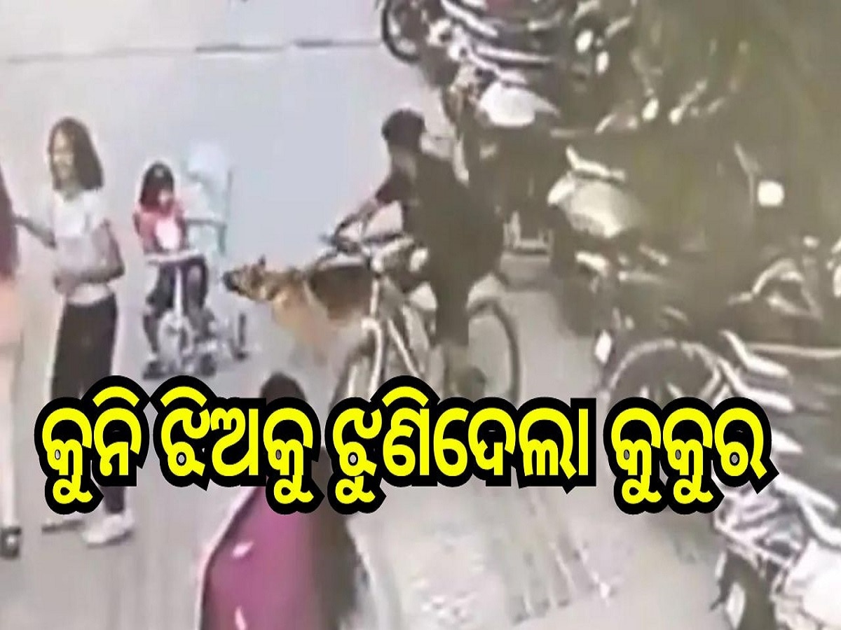 Dog Attack Viral Video: କୁନି ଝିଅକୁ ଝୁଣିଦେଲା କୁକୁର, ଦେଖନ୍ତୁ ଏହି ଭାଇରାଲ ଭିଡିଓ..