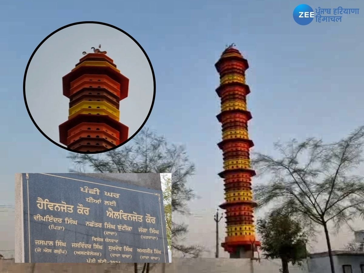 Bathinda Nest For Birds: ਬਠਿੰਡਾ ਦੇ ਕਾਰੋਬਾਰੀ ਨੇ ਪੰਛੀਆਂ ਲਈ ਬਣਾਇਆ ਬਸੇਰਾ, ਧੀਆਂ ਨੂੰ ਕੀਤਾ ਸਮਰਪਿਤ