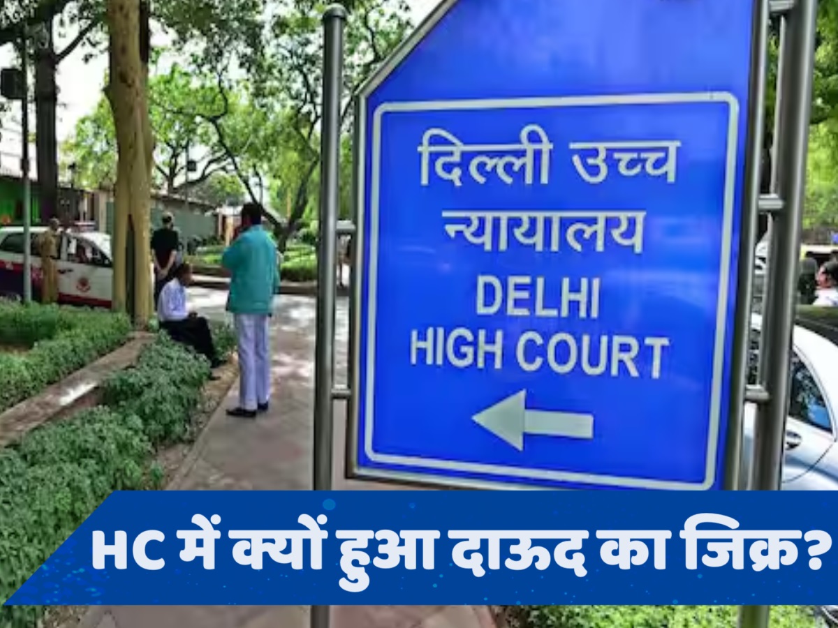 '...फिर तो दाऊद भी पार्टी बनाएगा, चुनाव लड़ेगा', किस बात पर भड़क गया Delhi हाई कोर्ट?