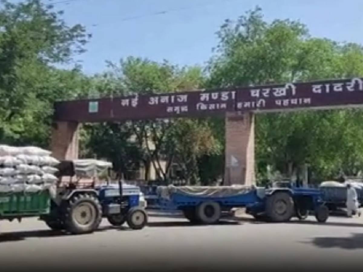 Charkhi Dadri News: कोई समझने वाला नहीं किसानों का दर्द, अधिकारियों पर लगे गंभीर आरोप 